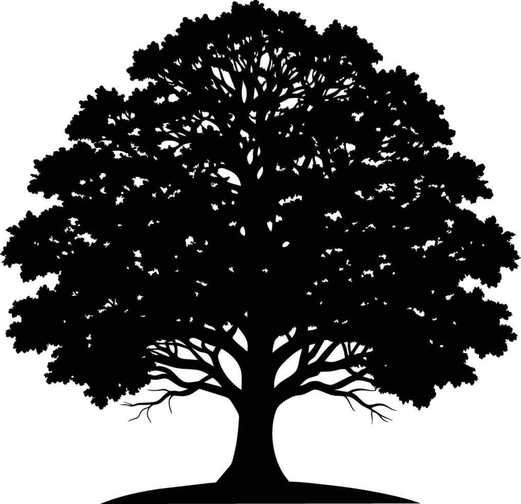 Oak tree silhouette black on white background vector