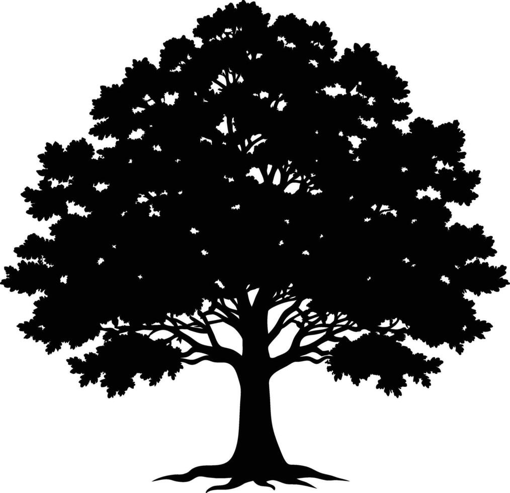 Oak tree silhouette black on white background vector