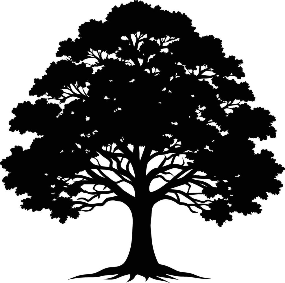 Oak tree silhouette black on white background vector