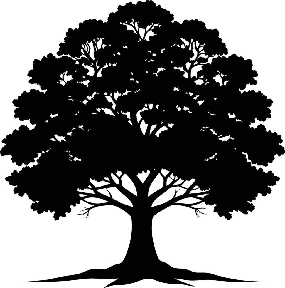 Oak tree silhouette black on white background vector