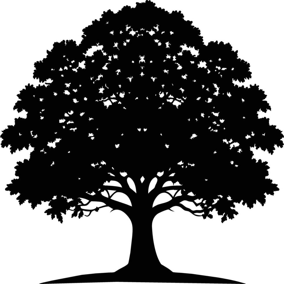 Oak tree silhouette black on white background vector