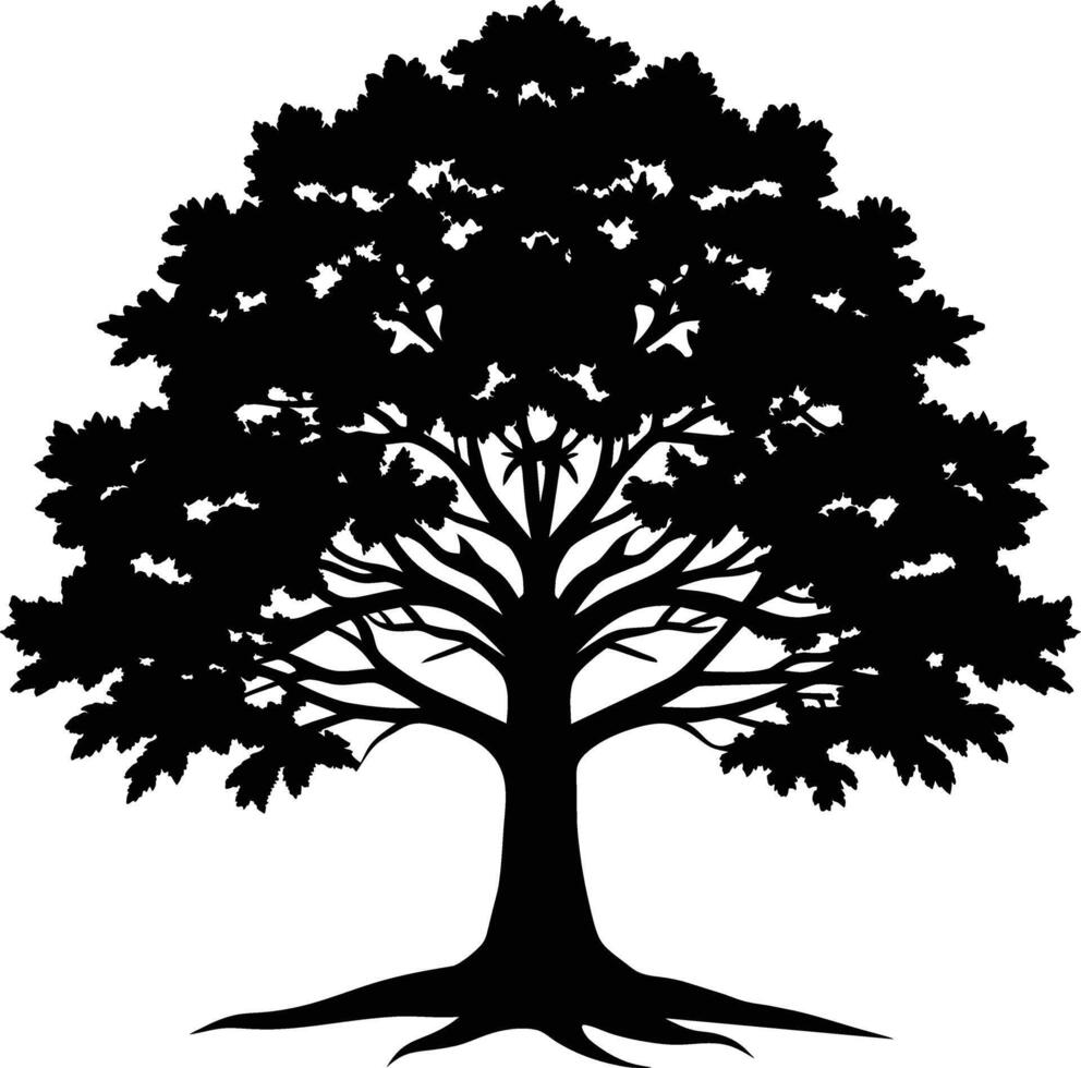 Oak tree silhouette black on white background vector