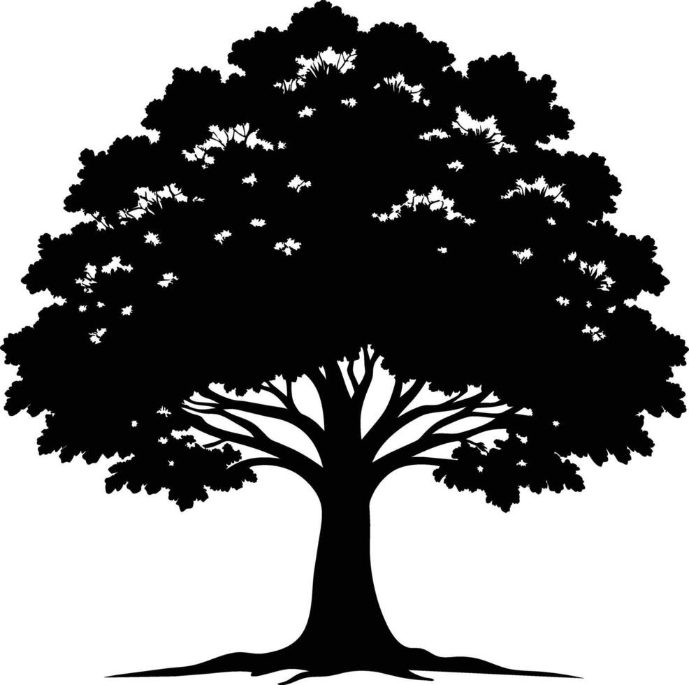 Oak tree silhouette black on white background vector