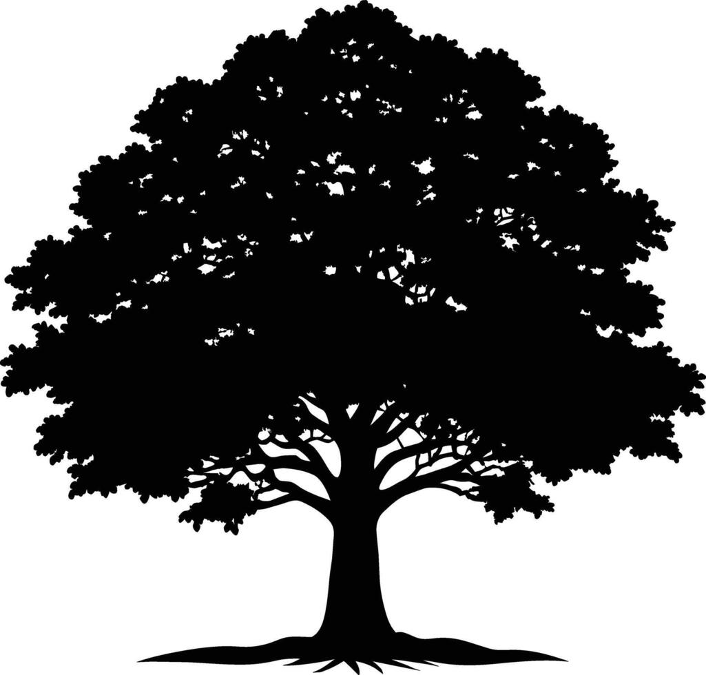 Oak tree silhouette black on white background vector