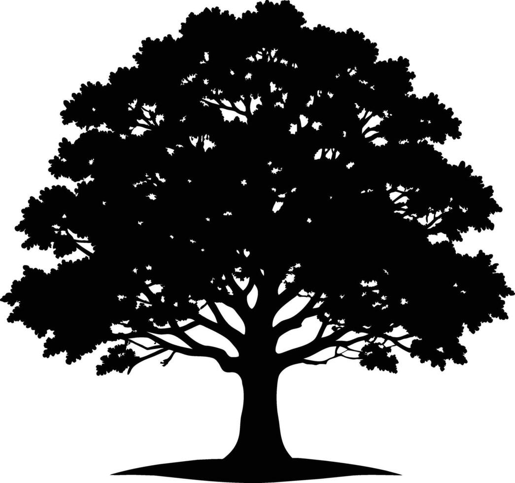 Oak tree silhouette black on white background vector