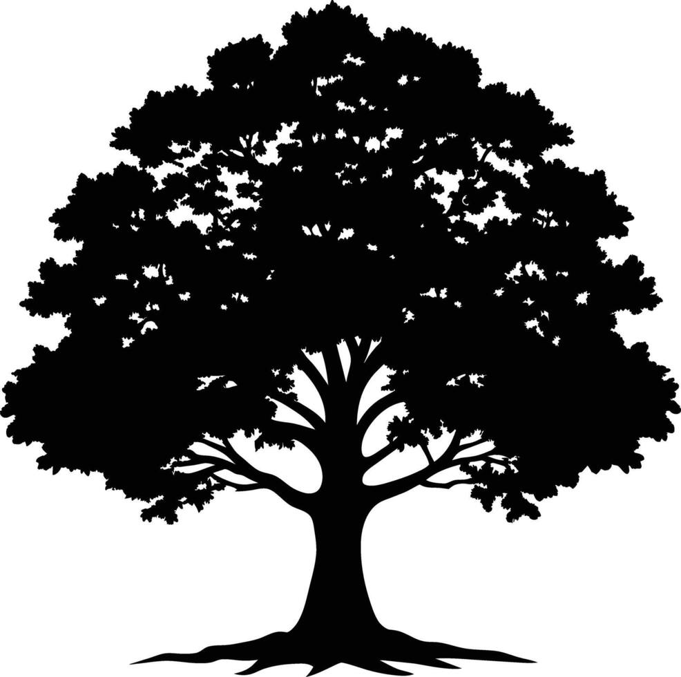 Oak tree silhouette black on white background vector