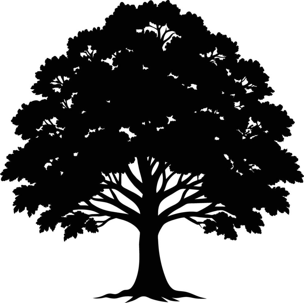 Oak tree silhouette black on white background vector