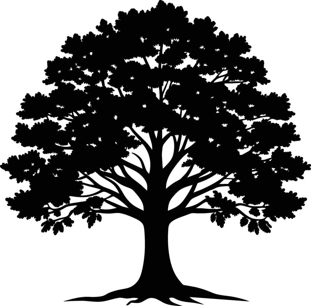 Oak tree silhouette black on white background vector