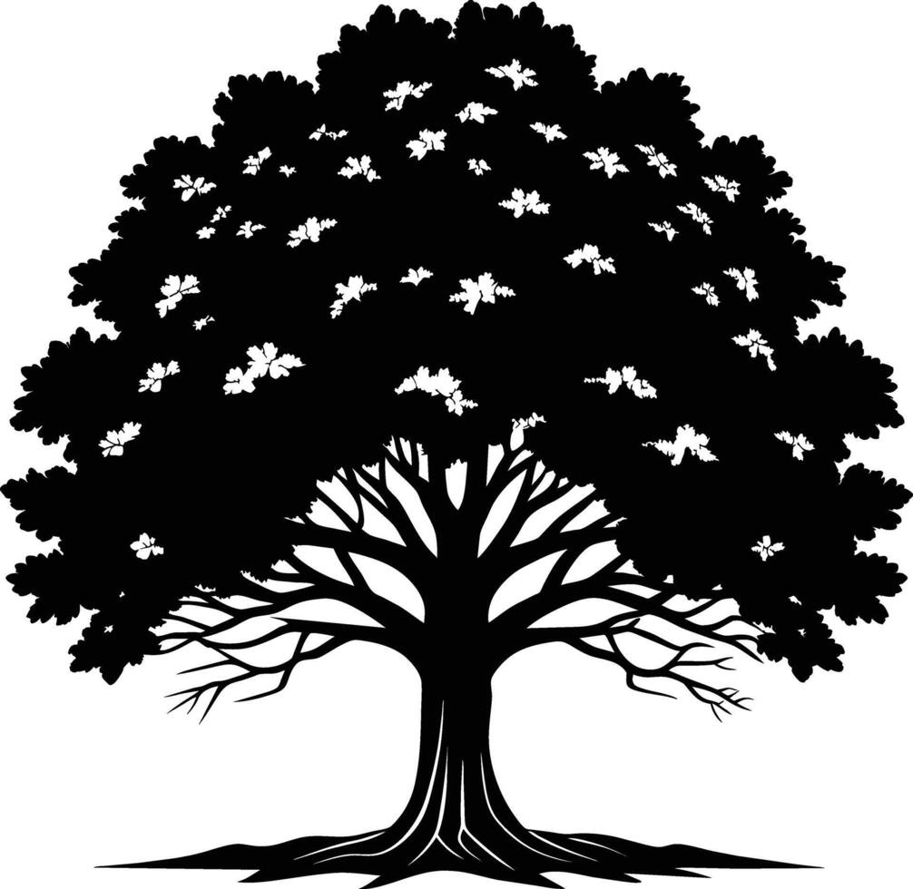 Oak tree silhouette black on white background vector