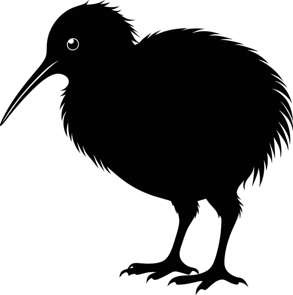 A black and white silhouette of a kiwi bird vector