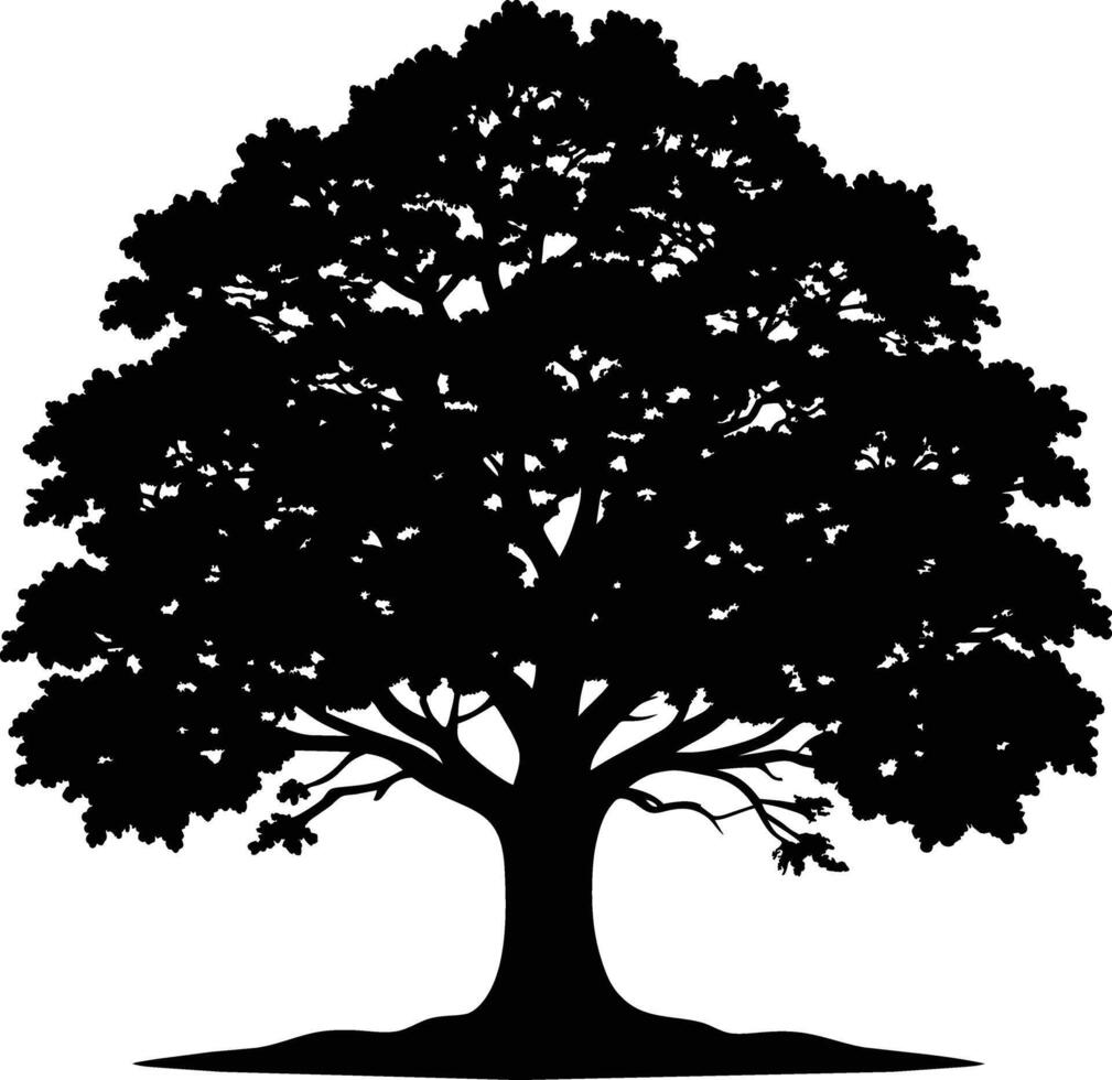 Oak tree silhouette black on white background vector