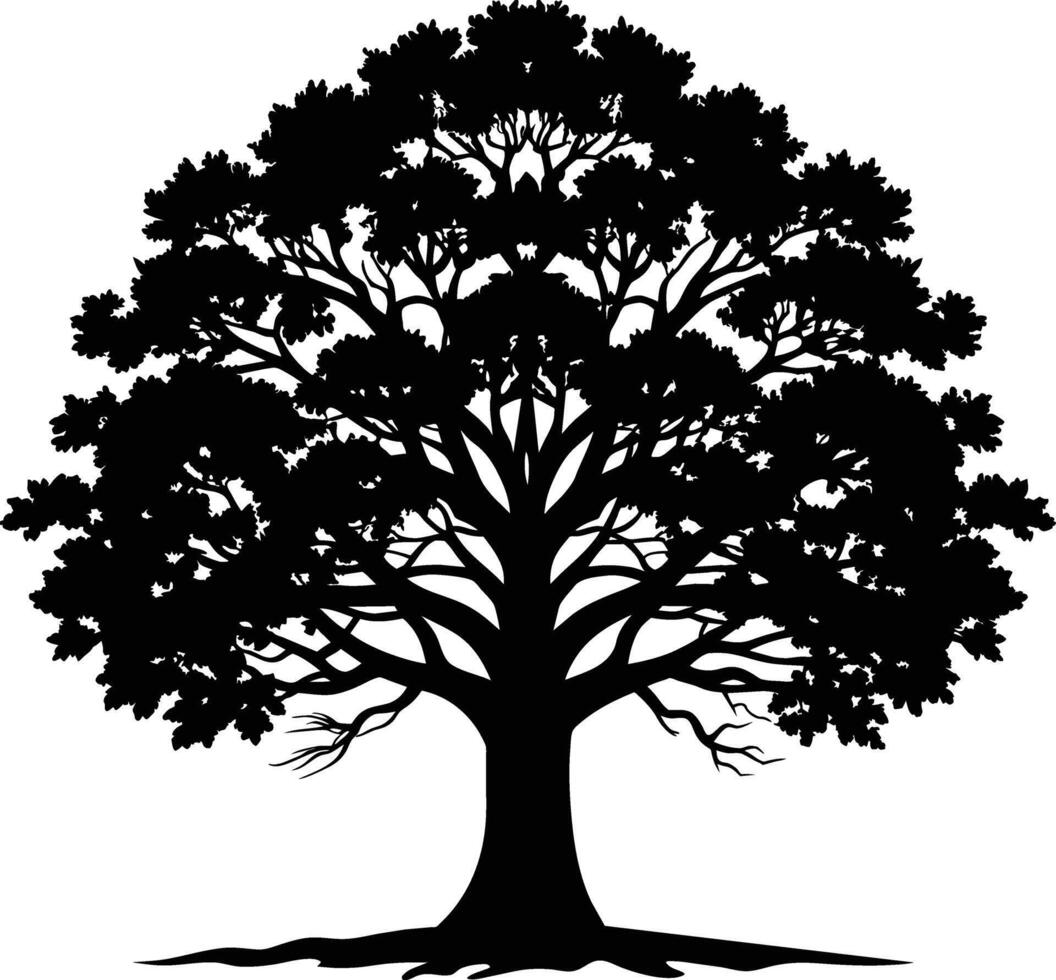 Oak tree silhouette black on white background vector