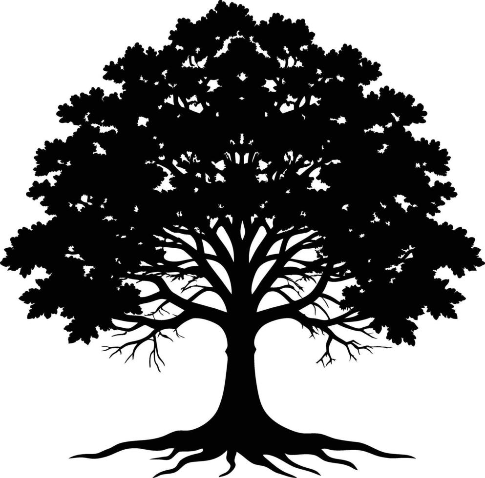 Oak tree silhouette black on white background vector