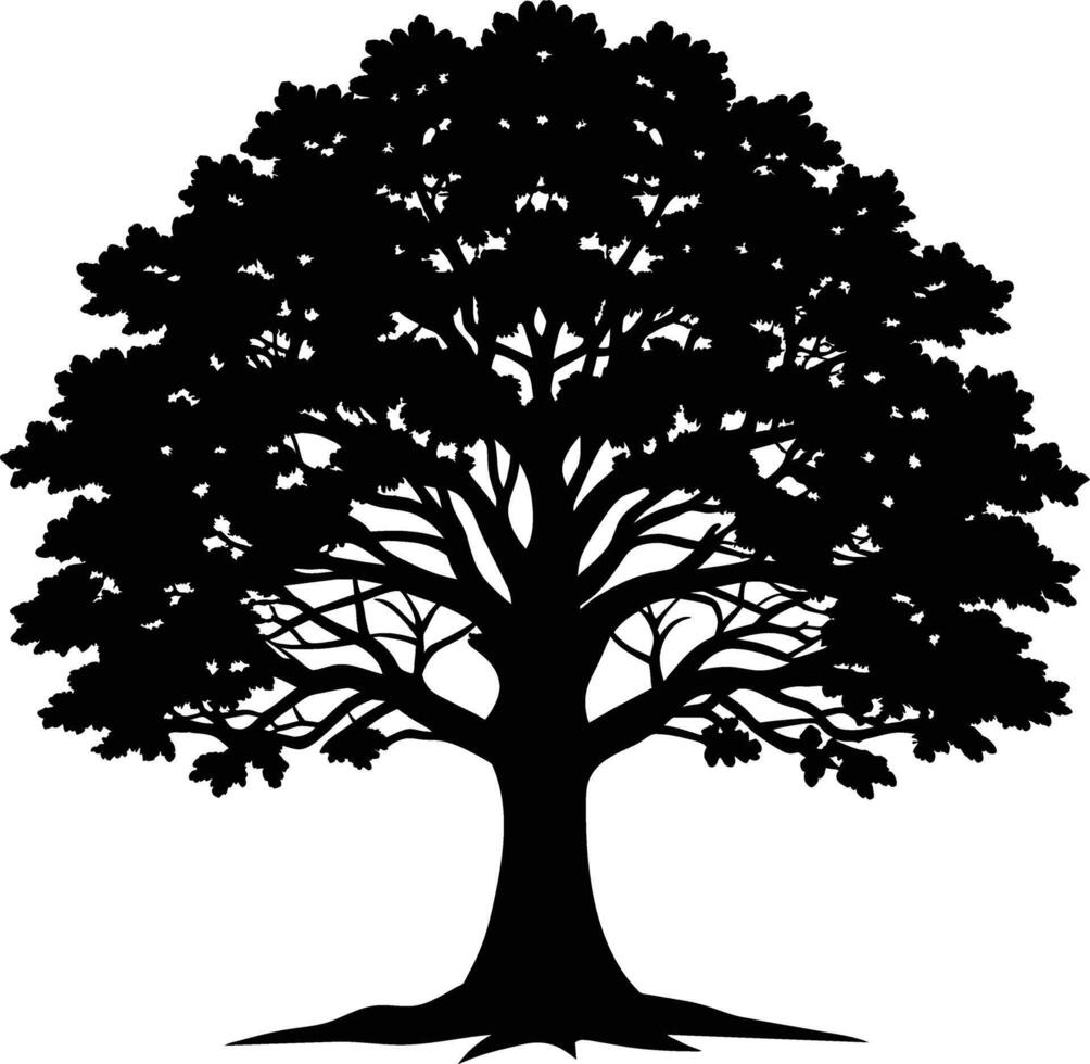 Oak tree silhouette black on white background vector