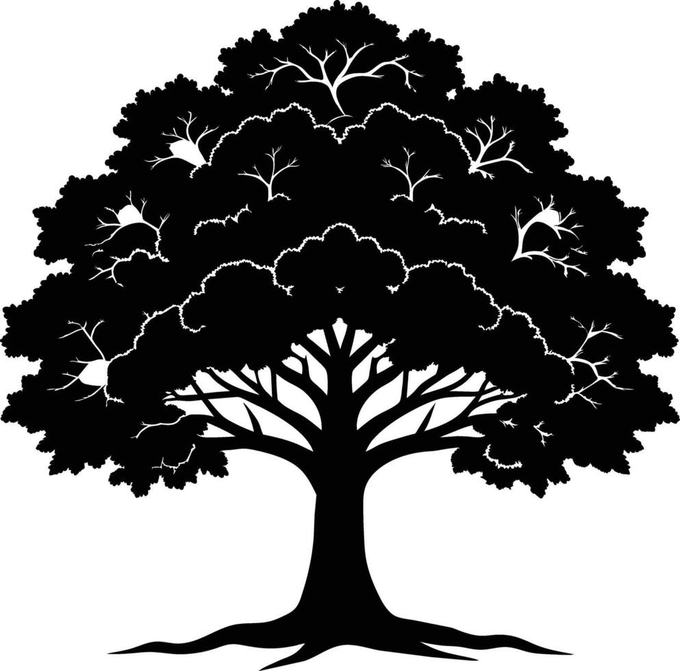 Oak tree silhouette black on white background vector