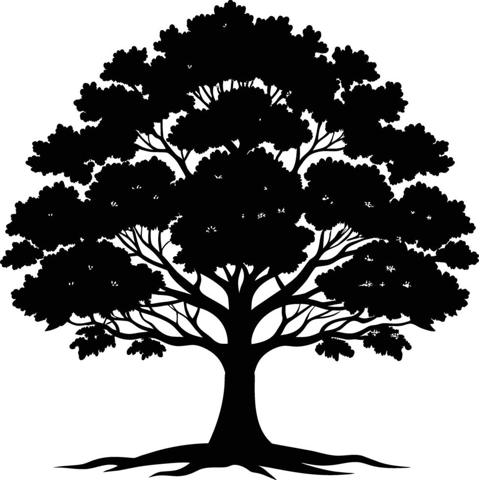 Oak tree silhouette black on white background vector