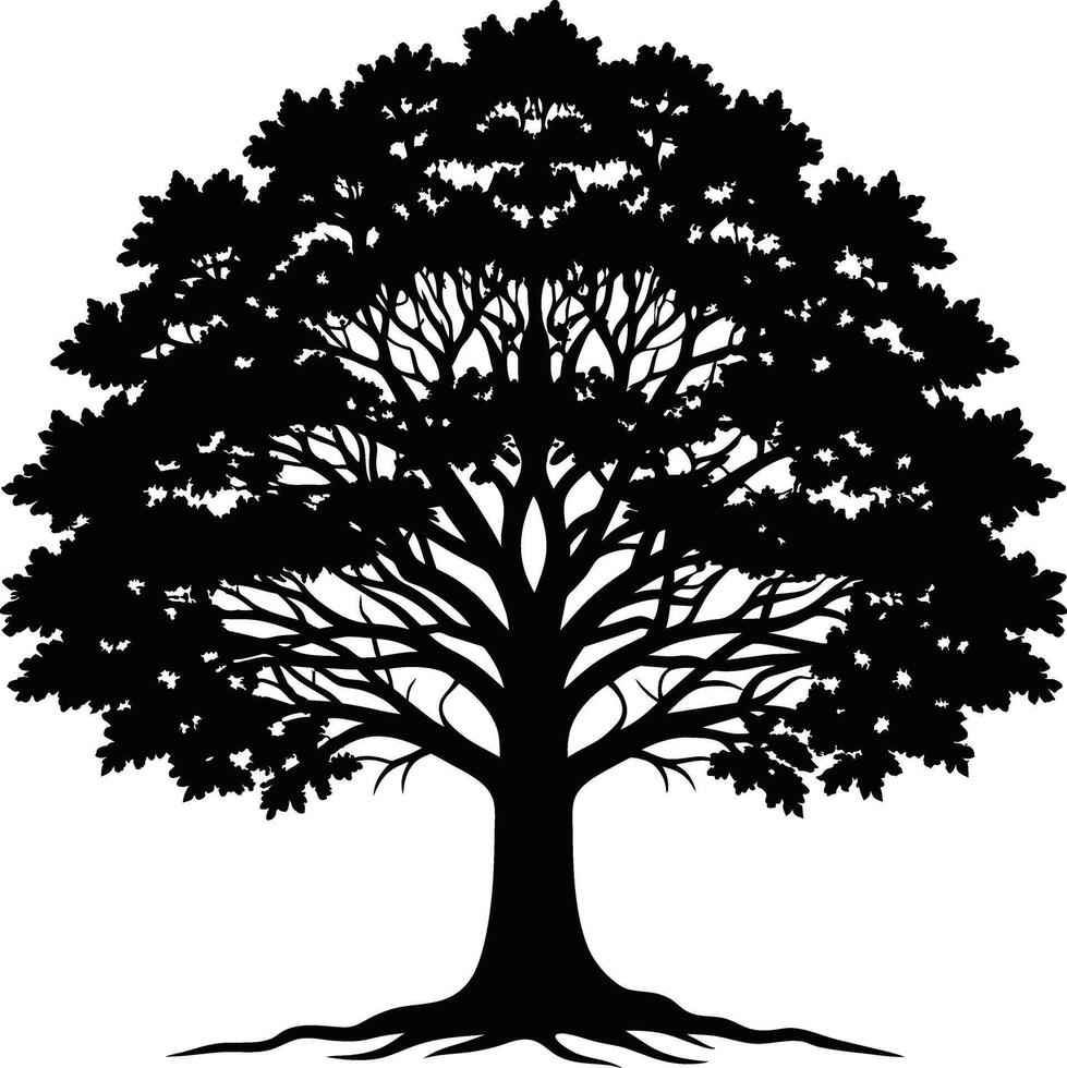 Oak tree silhouette black on white background vector