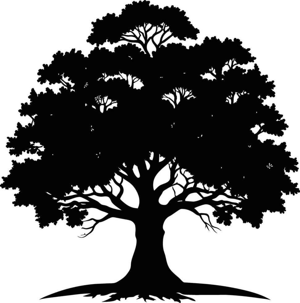 Oak tree silhouette black on white background vector