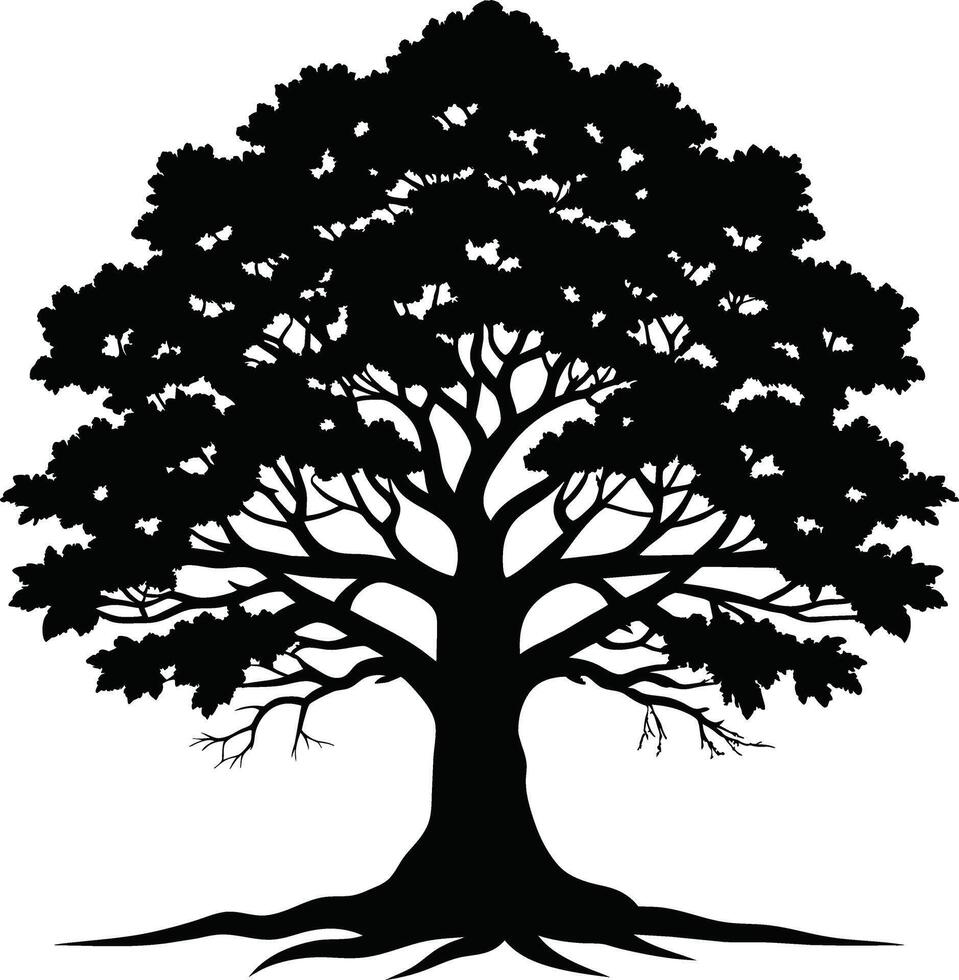 Oak tree silhouette black on white background vector