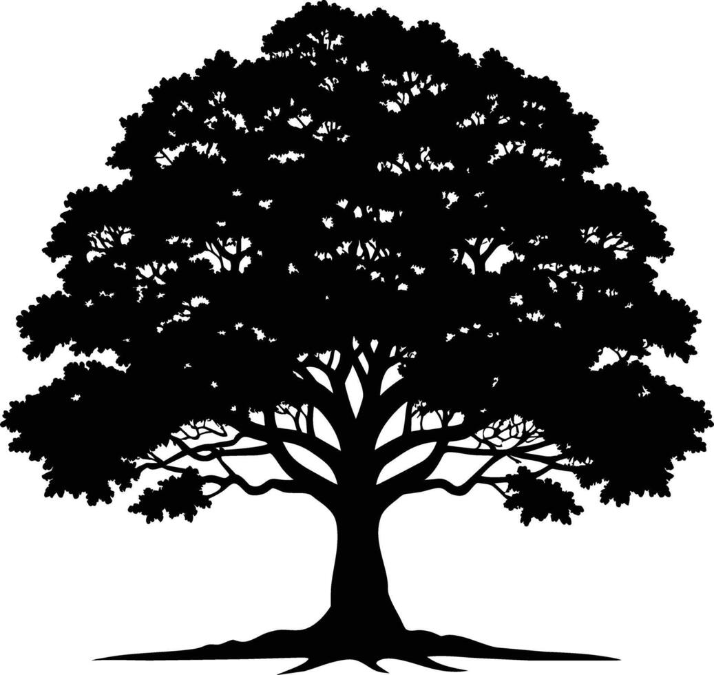 Oak tree silhouette black on white background vector