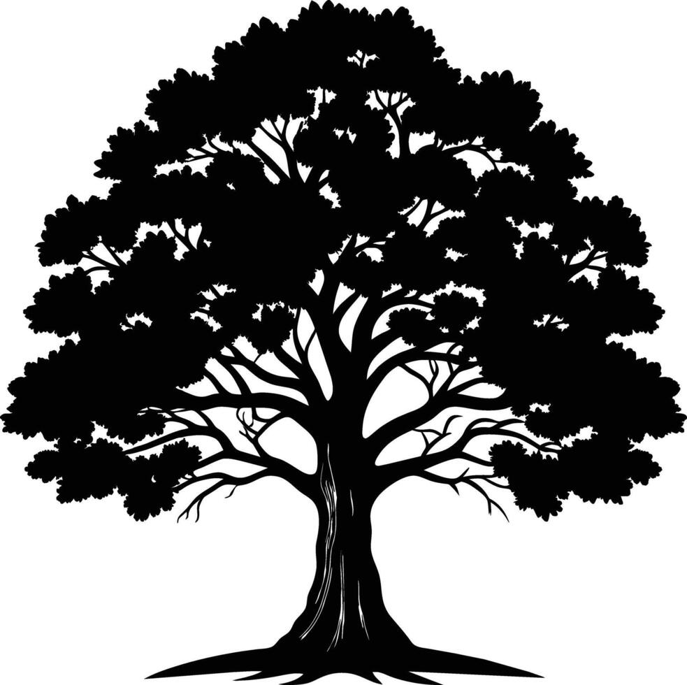 Oak tree silhouette black on white background vector