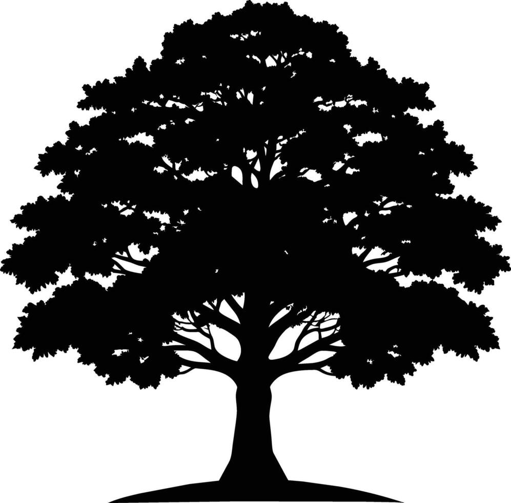 Oak tree silhouette black on white background vector