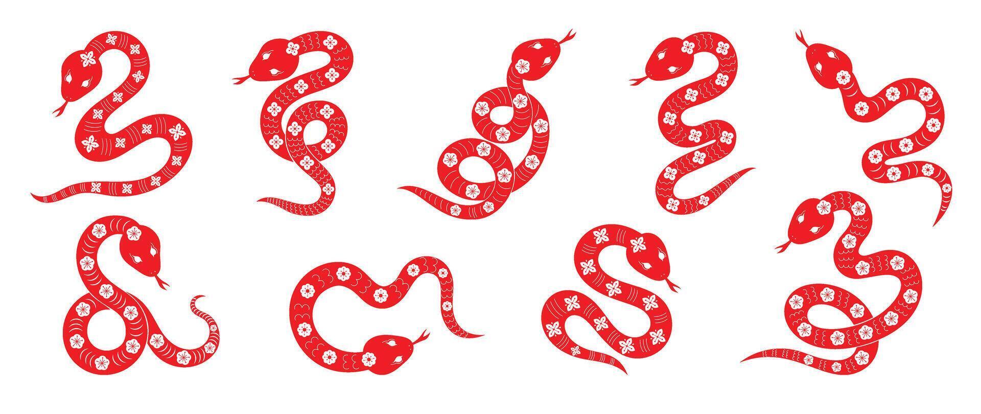 chino nuevo año serpiente diseño colocar. elemento zodíaco firmar año de el serpiente con Cereza florecer flor modelo en serpiente rojo color. ilustración diseño de fondo, tarjeta, pegatina, calendario. vector