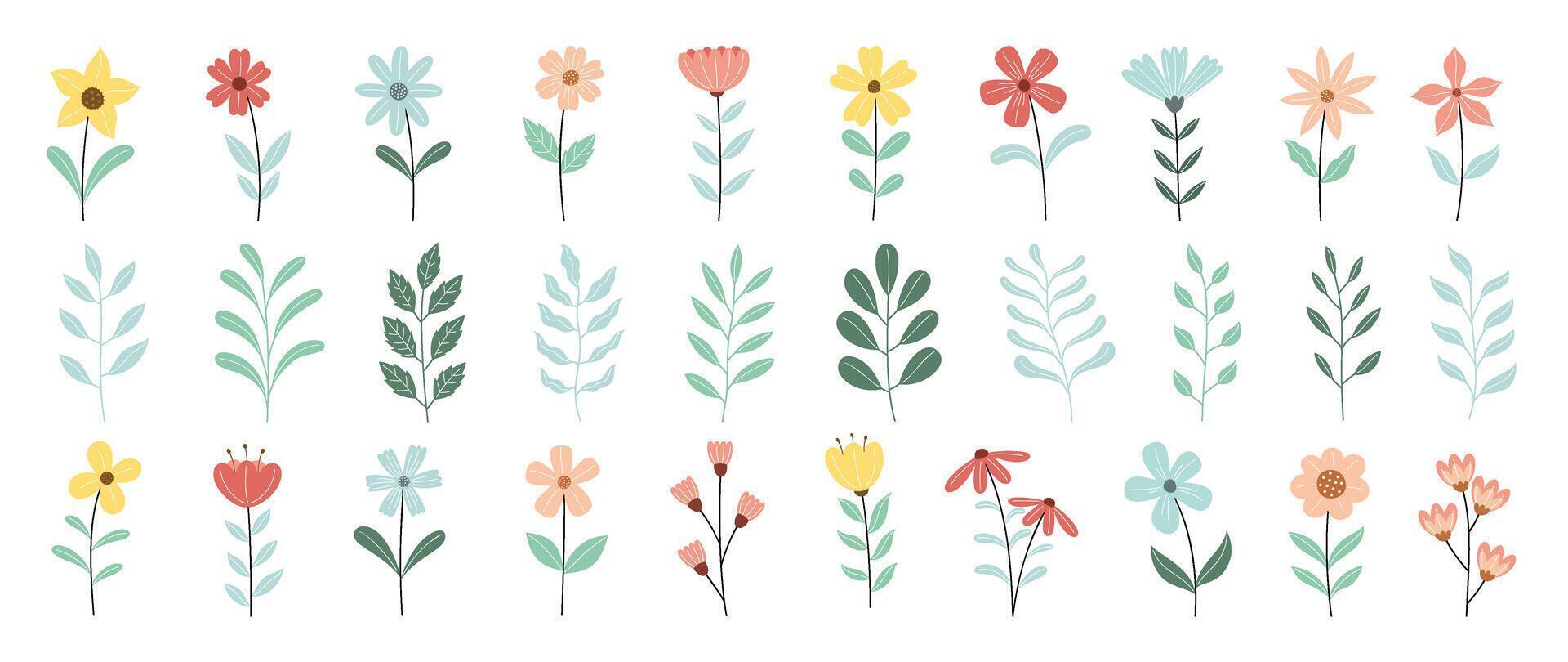 Collection of floral and botanical elements. Set of leaf, foliage wildflowers, plants, bloom, leaves and herb. Hand drawn of blossom spring season s for decor, website, wedding card and shop. vector
