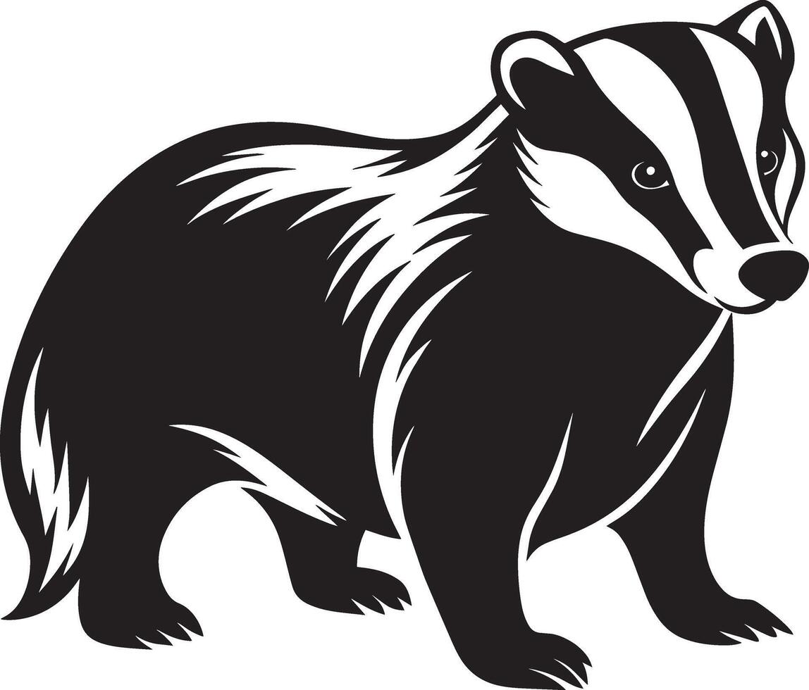 image of a badger on a white background. Wild animal. vector