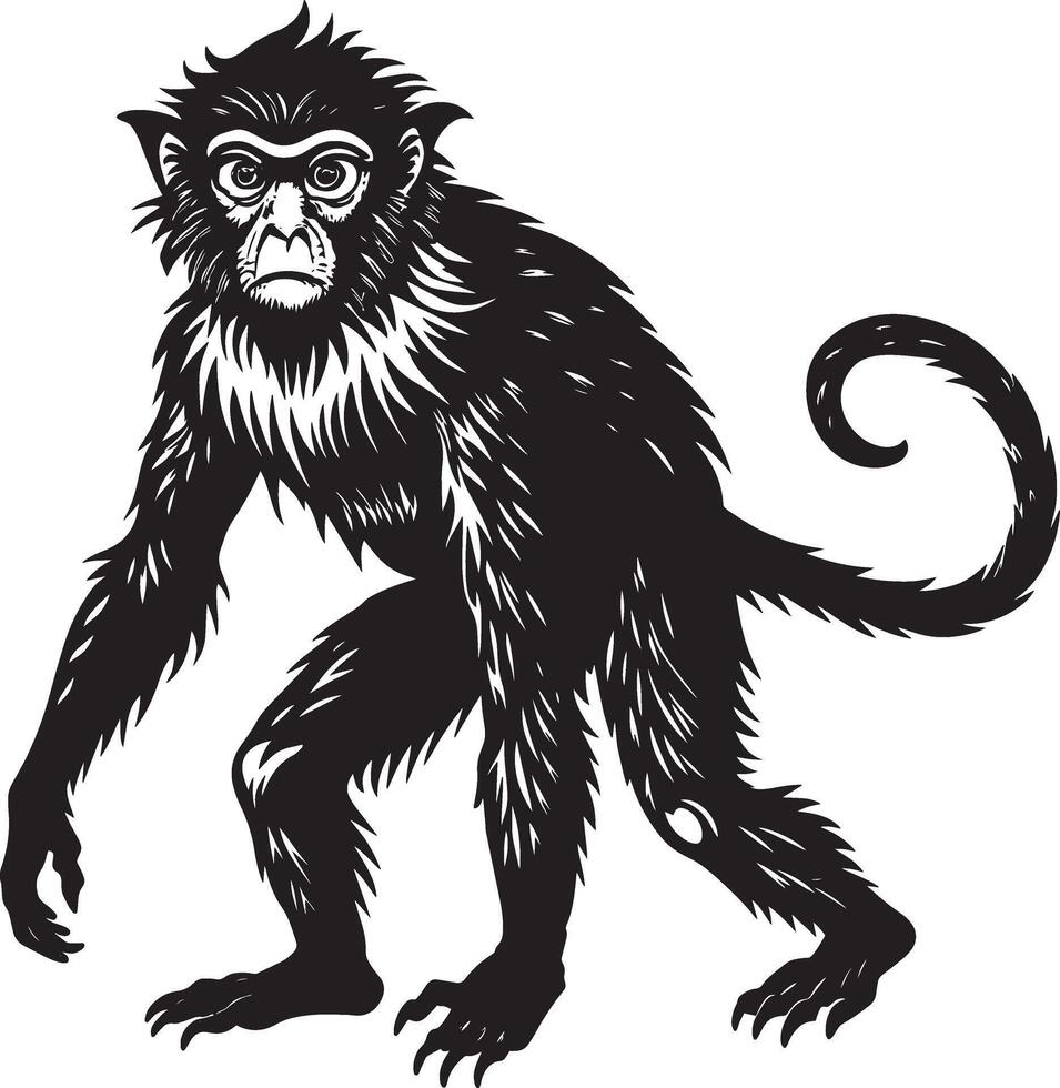 Monkey. Black and white illustration vector