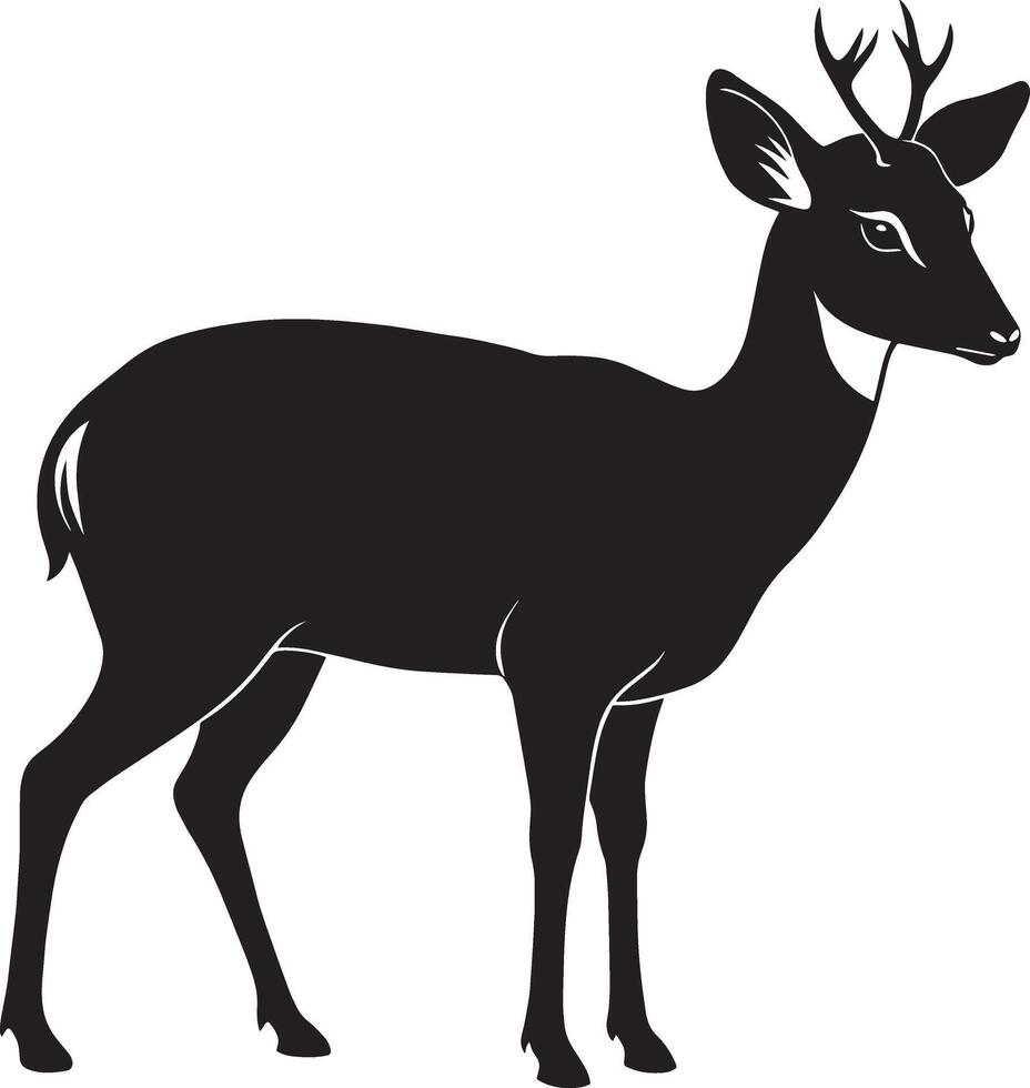 Deer - Black and White Illustration, Isolated On White Background vector