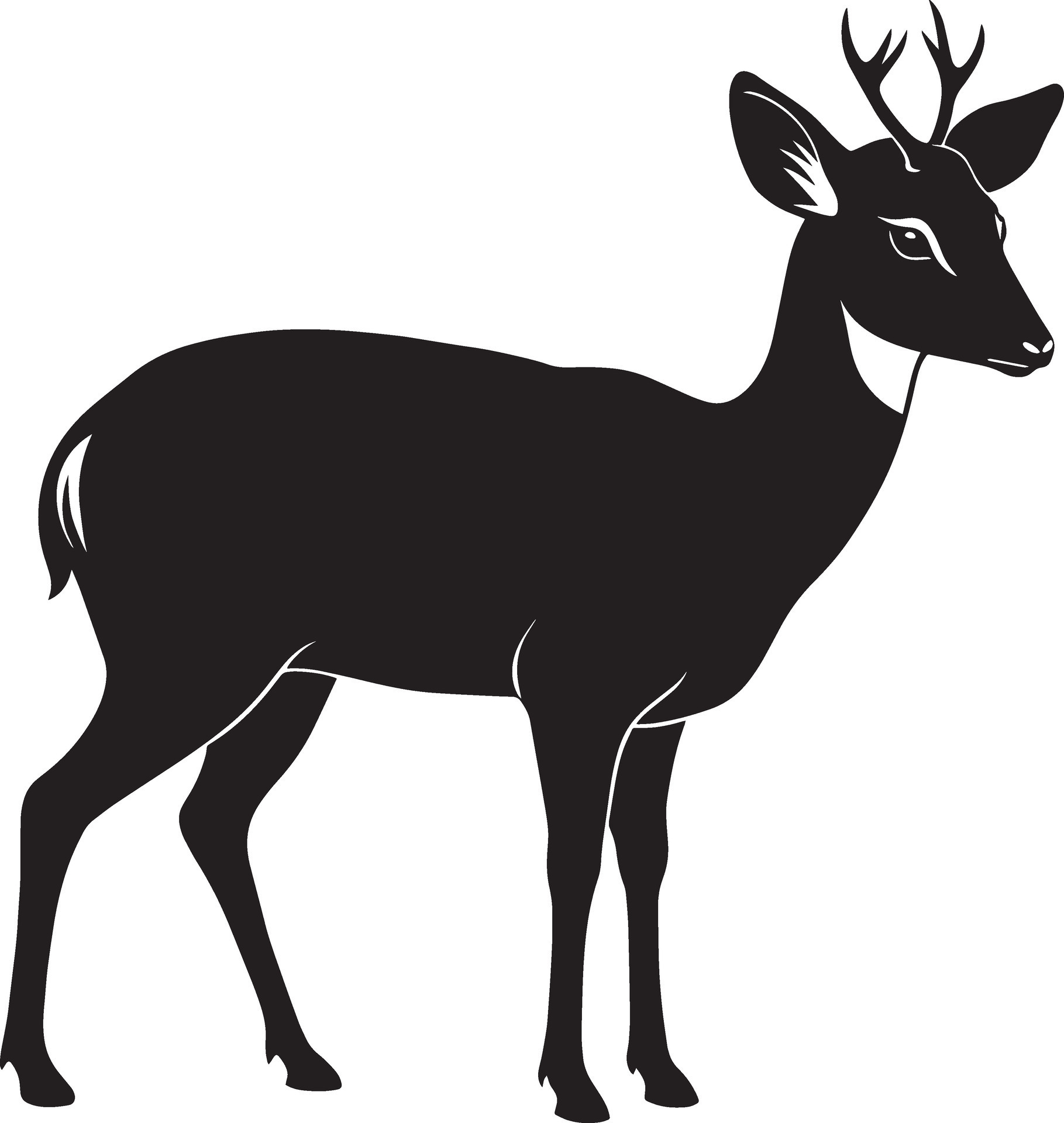 Deer - Black and White Illustration, Isolated On White Background