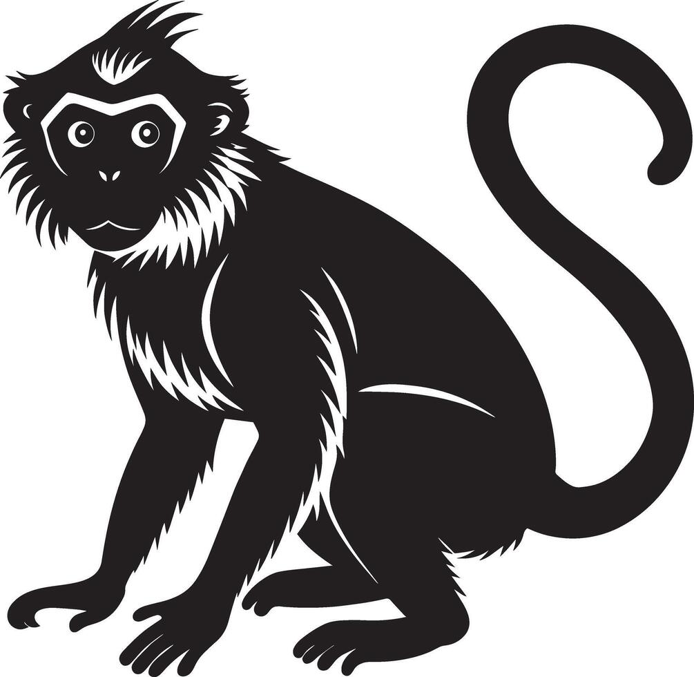 Monkey. Black and white illustration for tattoo or t-shirt design vector
