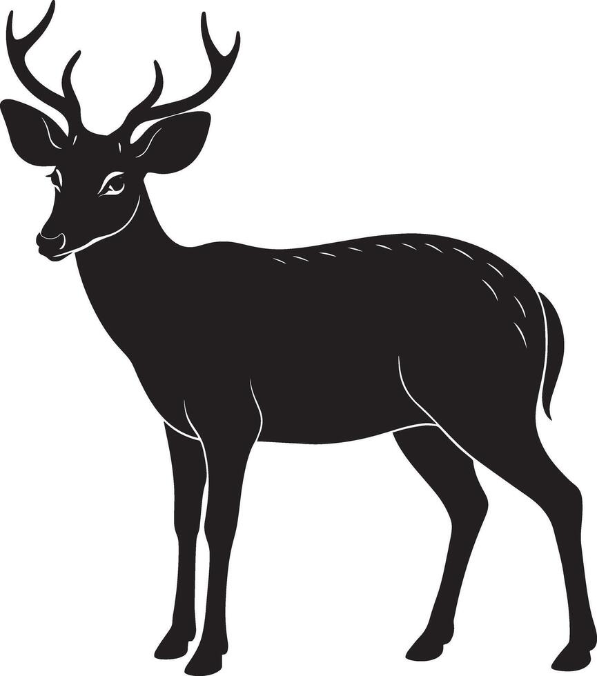 Deer - Black and White Illustration, Isolated On White Background vector