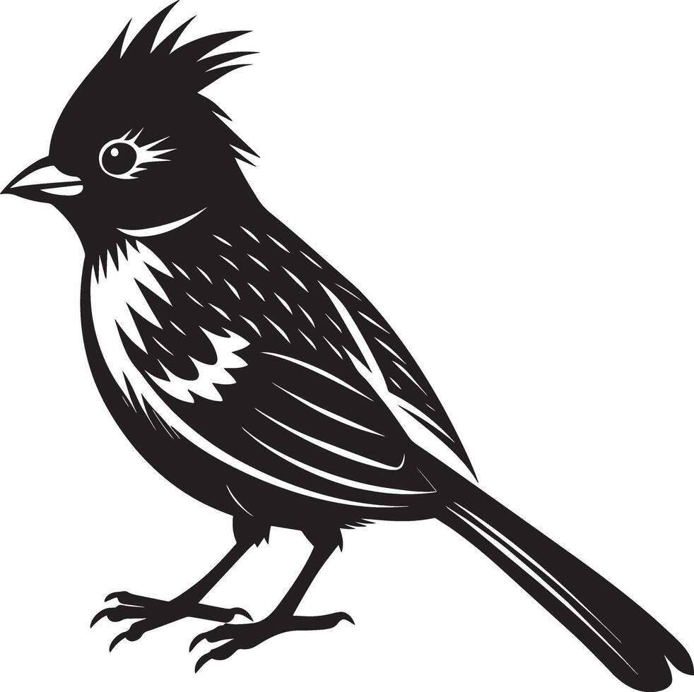 negro y blanco a rayas bulbul - ilustración - aislado en blanco antecedentes vector