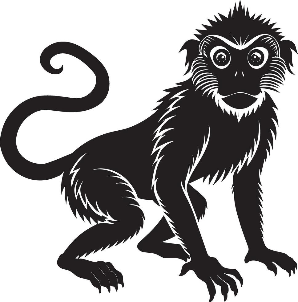 Monkey - Black Silhouette on White Background, Illustration vector