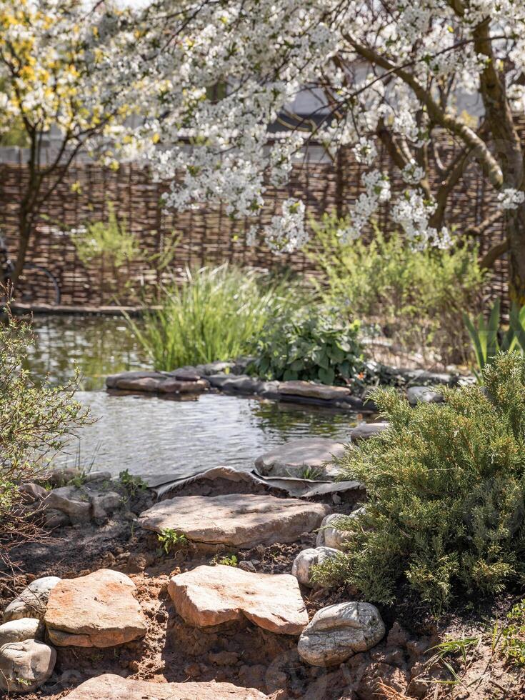 Pond with large stones on the bank surrounded by flowering plants. photo