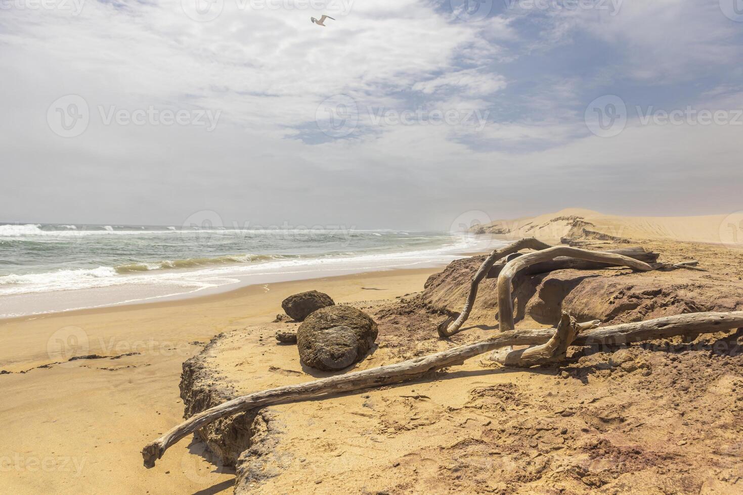 Picture of the dunes of Sandwich Harbor in Namibia on the Atlantic coast during the day photo