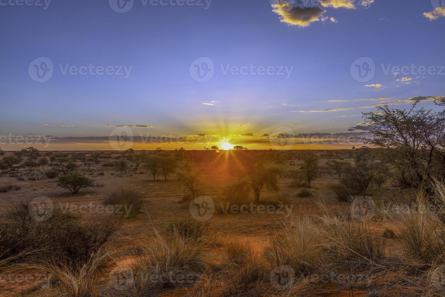 panorámico imagen terminado el namibio kalahari en el noche a puesta de sol con azul cielo y ligero nubes foto