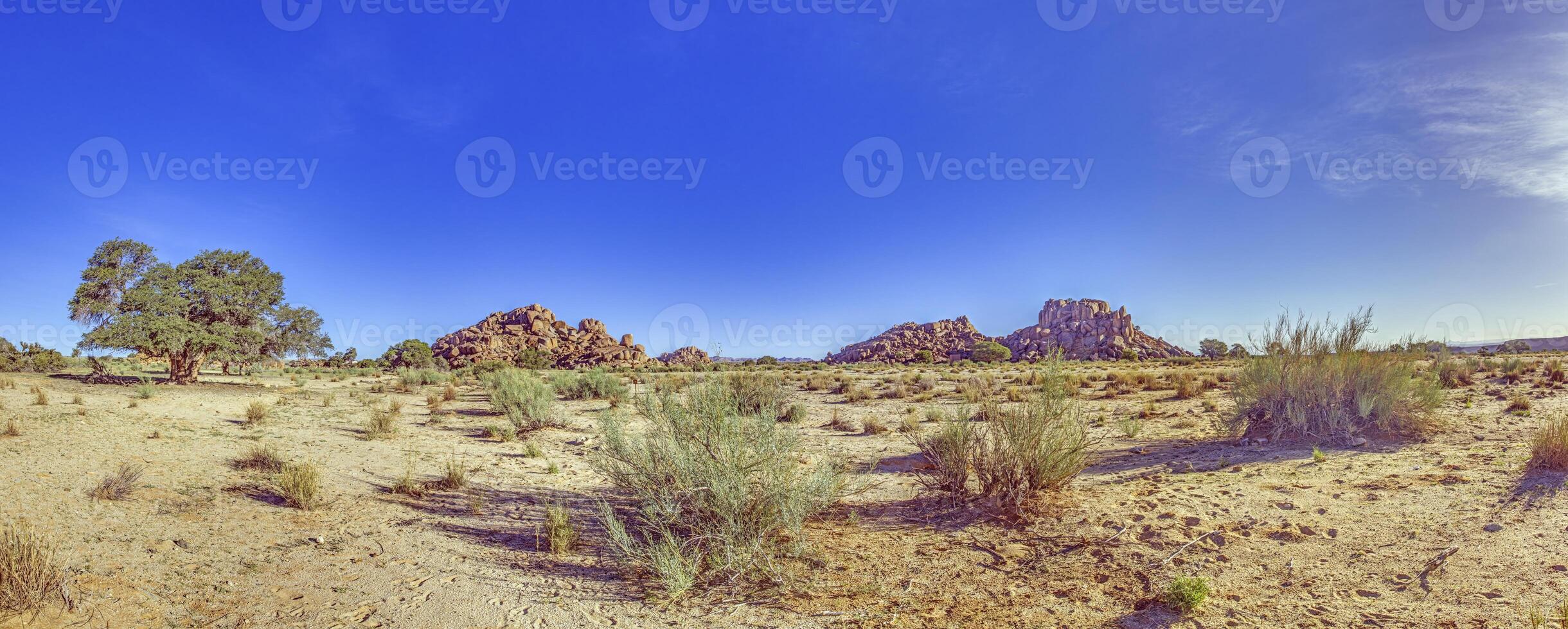 Desert landscape at Fish River Canyon in Namibia with acacia tree and rocky outcrop under clear blue sky photo