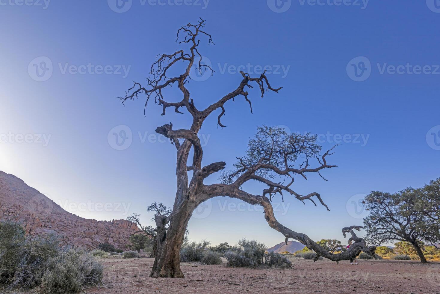 Picture of the unique landscape of the Tiras Mountains on the edge of the Namib Desert in Namibia photo