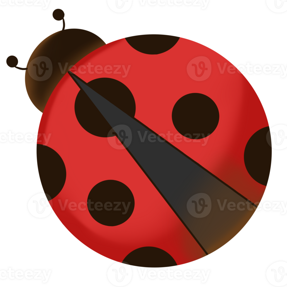 ladybug clip art 43349177 PNG