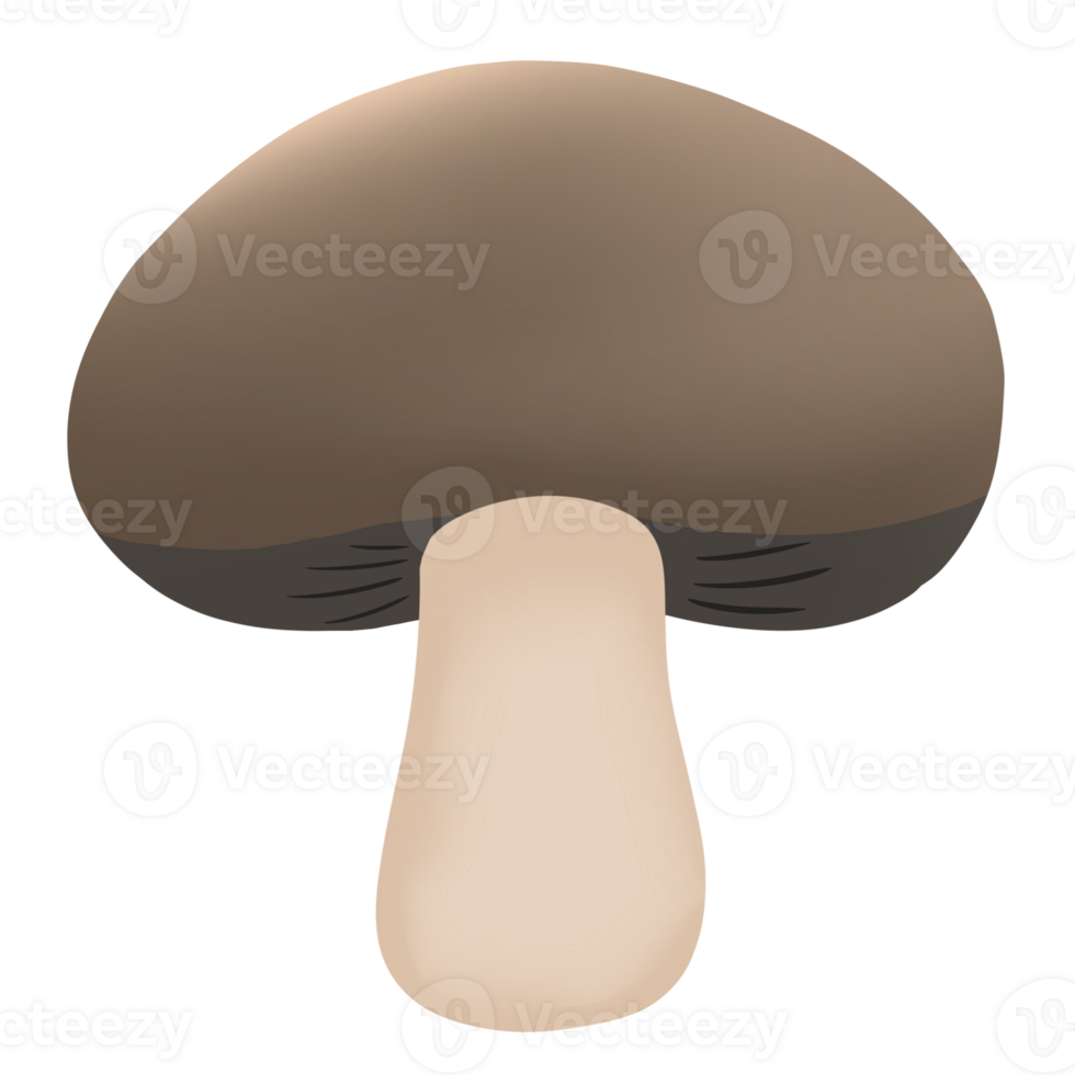 clip art di funghi png