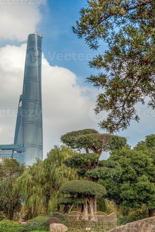 Picture from Shanghai's Gucheng Park of the Pudong skyline photo