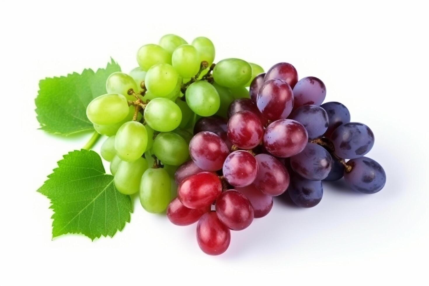 Mix of grapes with leaves isolated on the white background.. photo