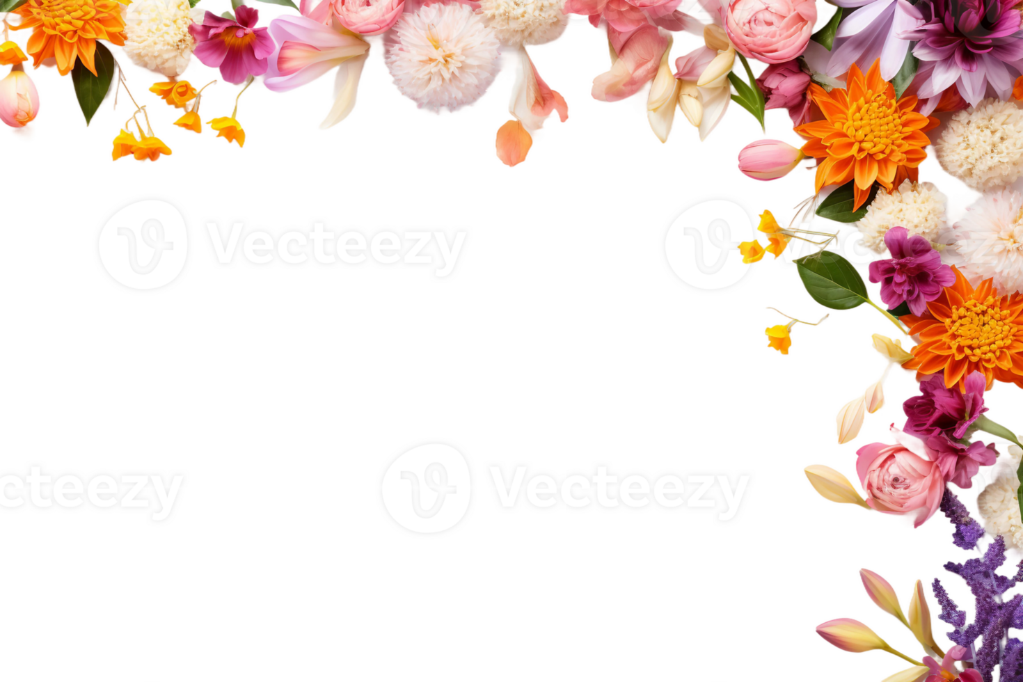 Flowers copy space on transparent background. png