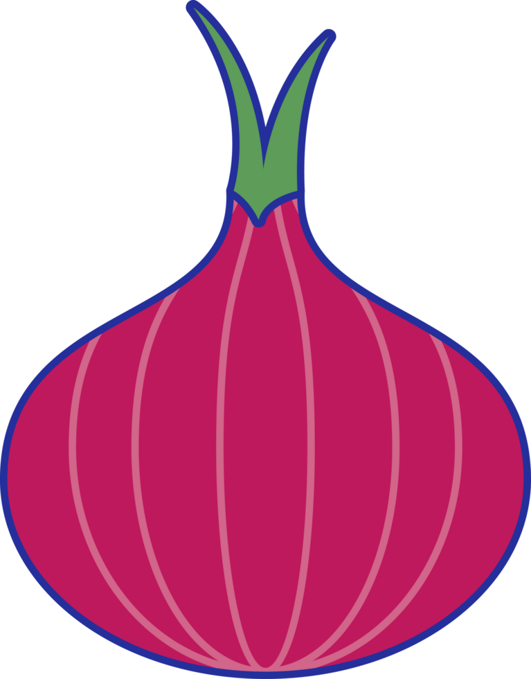Onion Illustration Transparent Background png