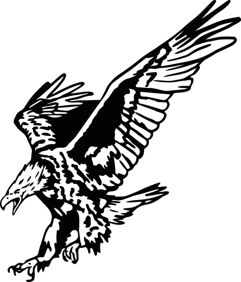 Flying american bald eagle illustration vector