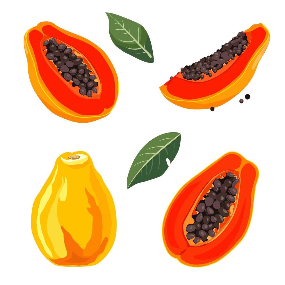 1 juego de jugoso y sano amarillo rojo papaya y rebanadas aislado en blanco antecedentes. rebanado Fruta ilustración en plano estilo. verano clipart para diseño de tarjeta, bandera, volantes, venta, póster vector