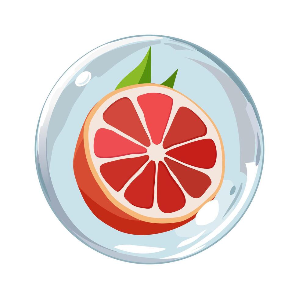 Healthy red grapefruit in air bubble. Isolated illustration on white background. Summer fruit for flat design of cards, banner, presentations, logo, poster vector